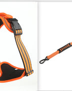 Orange  set1 / L