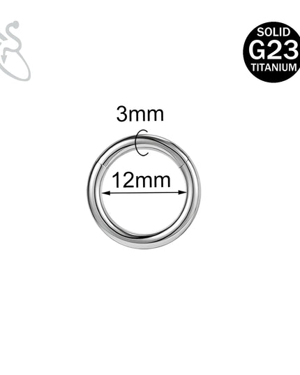 ZS 1PC G23 Titanium Hoop Earring for Women Silver Plated Circle Earring Large Gauge Seputm Nose Ring 2/4/6/8/10/12G Punk Earring