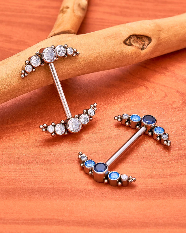 14G Nipple Rings G23 Titanium Barbell Zircon Nipple Shield Piercing for Women Girls Sexy Nipple Piercing Jewelry