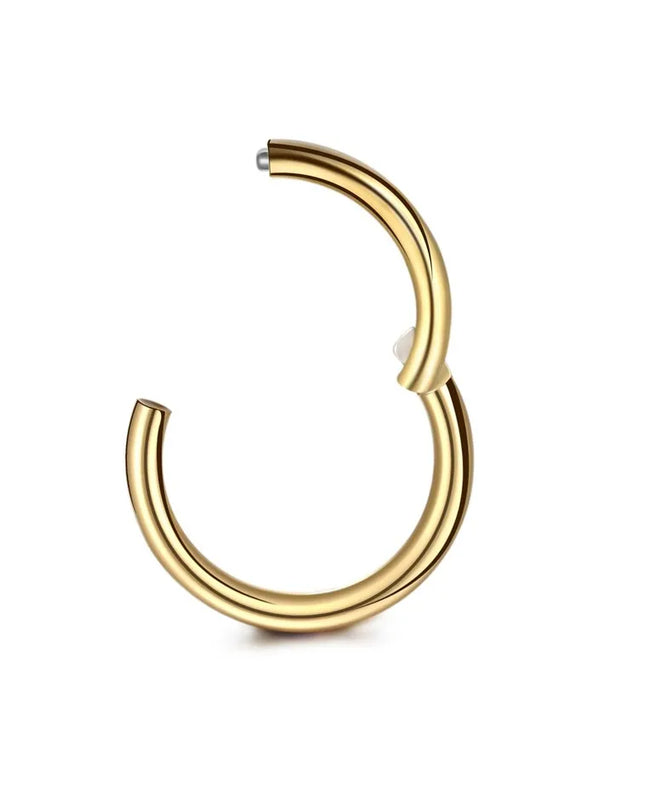 6Pcs/lot Stainless Steel Nose Ring Body Clip Hoop for Women Men Cartilage Piercing Segment Nose Hoop Septum Clicker Lip Ear Ring