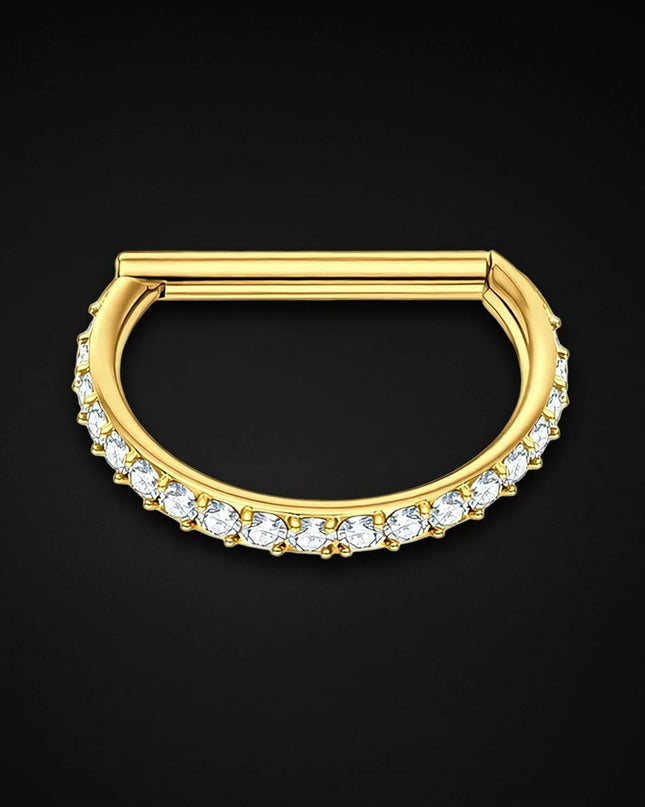 Nose Rings Titanium Clicker Ring in D Shape Style and Zirconia Conch Piercing Hoop Rook Huggie Helix Nostril Clicker