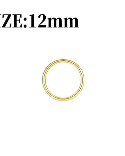 Gold Nose Rings for Women and Men, Clicker Septum Rings, Hoop Earrings, Suitable for Helix and Cartilage, Body Piercing Earrings