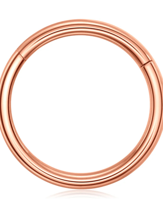 Stainless Steel Hinged Nose Ring Clicker 10G-20G Septum Cartilage Tragus Helix Lip Hoop Piercing Body Jewelry Wholesale