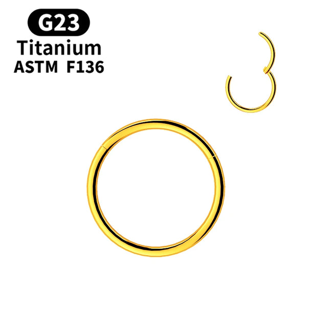 Nose Rings G23 Titanium Lip Ring For Women And Men Piercing Jewelry Hoop Earrings Mixed Color Body Clips Hinged