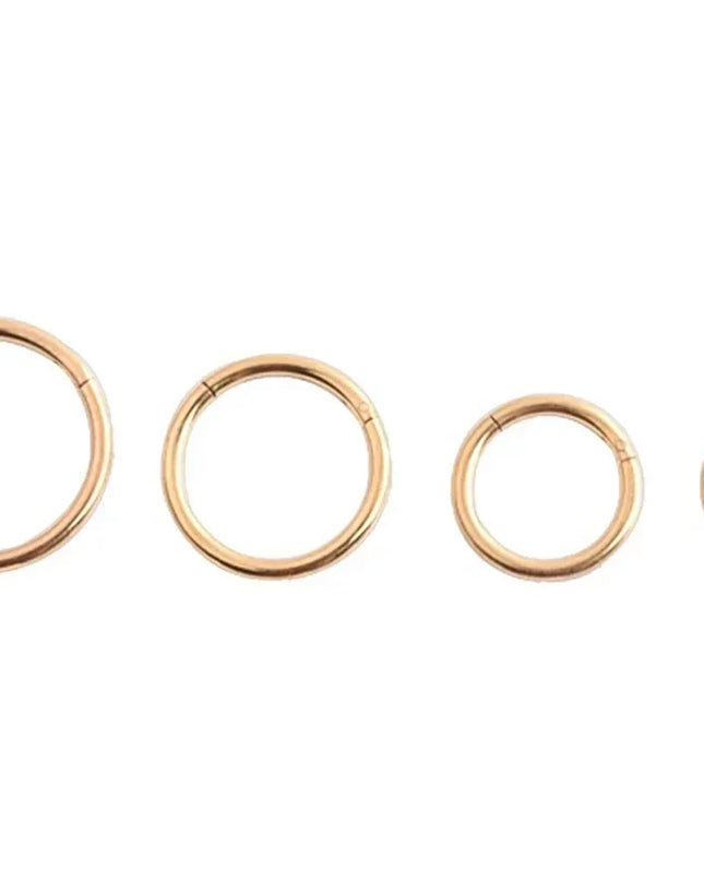 5pc Nose Rings Hoop Hinged Clicker Segment Nose Rings Ear Cartilage Ring Clip Stainless Steel Ear Nose Ring Body Jewelry Gift