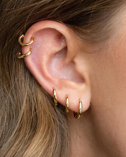 Ear Piercing For Women Pierced Earring Daith Helix Flat Lobe Star Plant Lightning Zircon Stainless Steel Ear Hoop Jewelry Gift