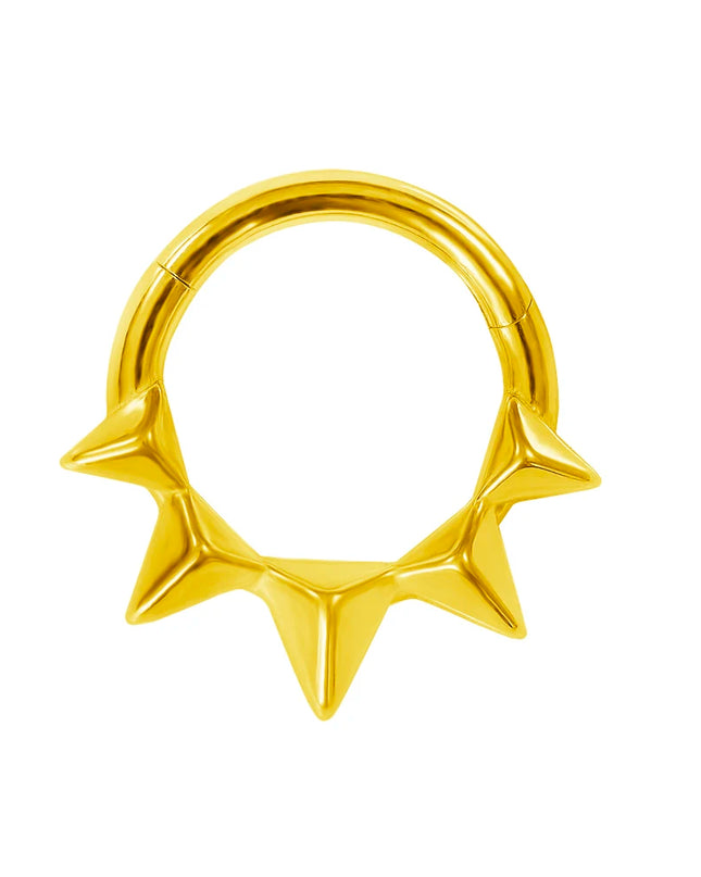 Thorns Septum Piercing Nose Ring Daith 316L Stainless steel Clicker Helix Conch Cartilage Earring Segment BodyJewelry