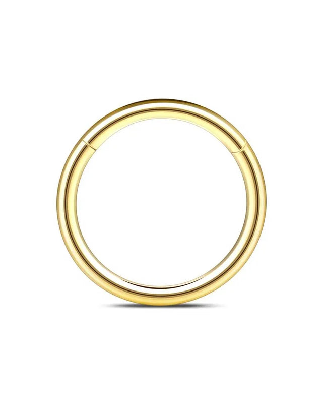 1/6/12PCS Nose Septum Rings 16G Surgical Steel Nose Piercing Jewelry 8mm 10mm 12mm Horseshoe Lip Earring Eyebrow Hoop Gold