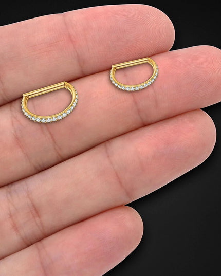 Nose Rings Titanium Clicker Ring in D Shape Style and Zirconia Conch Piercing Hoop Rook Huggie Helix Nostril Clicker