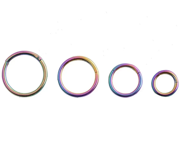 5pc Nose Rings Hoop Hinged Clicker Segment Nose Rings Ear Cartilage Ring Clip Stainless Steel Ear Nose Ring Body Jewelry Gift