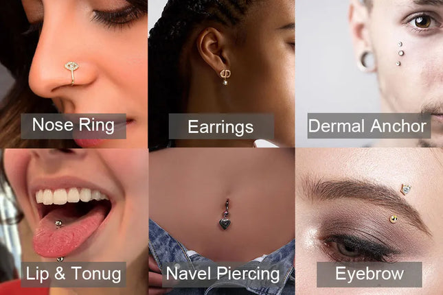 Nose Rings G23 Titanium Piercing Beads Earrings 16G Segment Hinged Nose Clickers Ear Daith Tragus Cartilage Piercing Jewelry