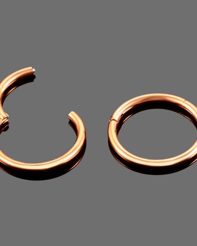 6/8/10/12mm Stainless Steel Nose Rings Hoop for Women Men 18G 16G Cartilage Piercing Body Jewelry Segment Lip Ring