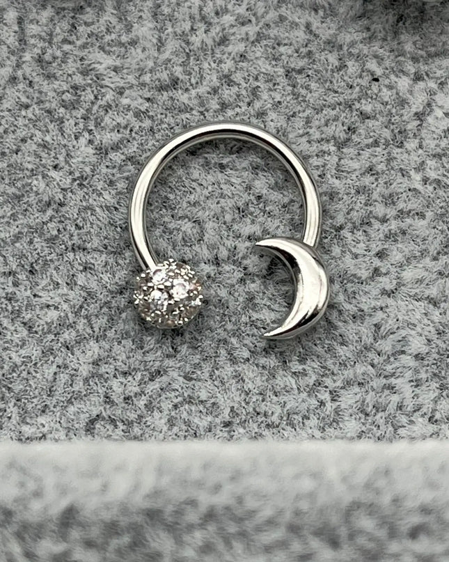 Horseshoe Ring Nose Ring Hinged Segment Septum Piercing Clicker Hoop Ear Cartilage Earrings Helix Silver Color Body Jewelry