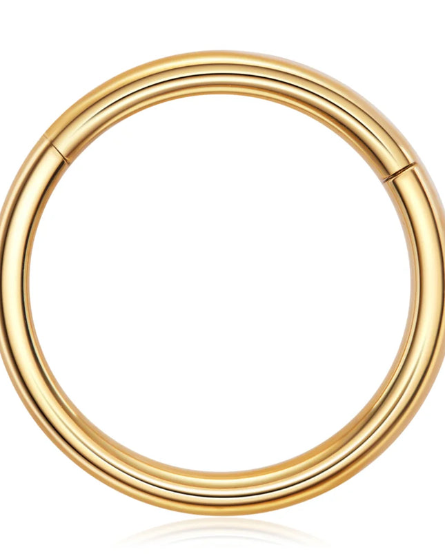 Stainless Steel Hinged Nose Ring Clicker 10G-20G Septum Cartilage Tragus Helix Lip Hoop Piercing Body Jewelry Wholesale