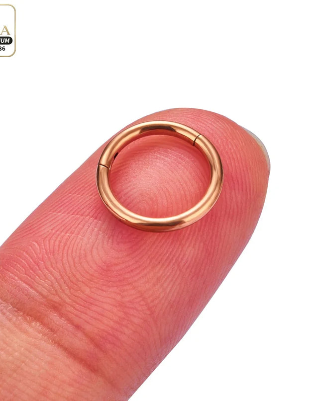 Nose Rings G23 Titanium Lip Ring For Women And Men Piercing Jewelry Hoop Earrings Mixed Color Body Clips Hinged