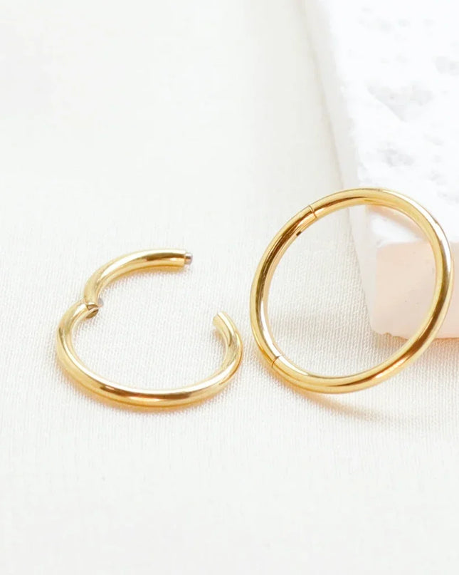 F136 Titanium Hinged Hoop Nose Rings 20G 18G 16G Septum Ring Body Piercing clicker Women and Men Cartilage Rook Earring Jewelry