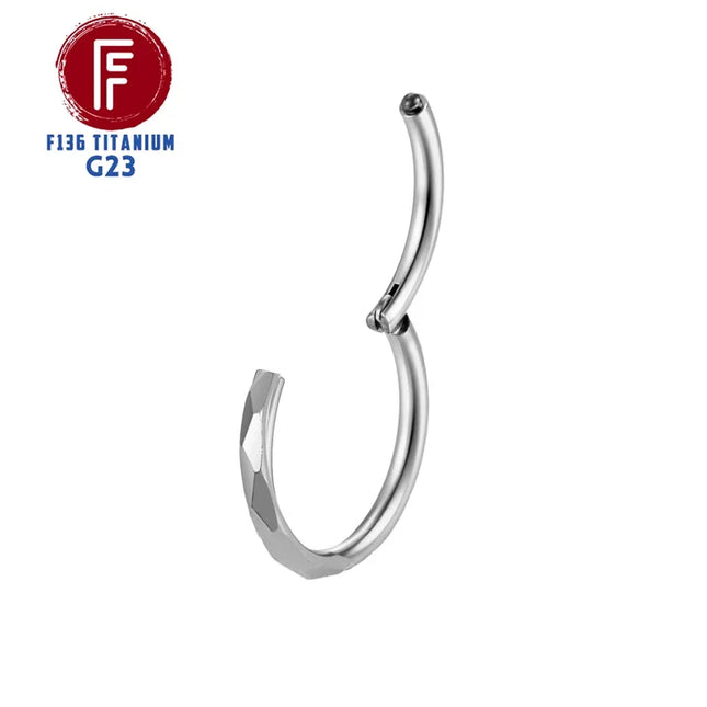 Piercing Nose Rings and Studs Cz Clicker Tragus Cartilage Earrings Labret Diaphragm F136 Titanium Sexy Helix Septum Body Jewelry