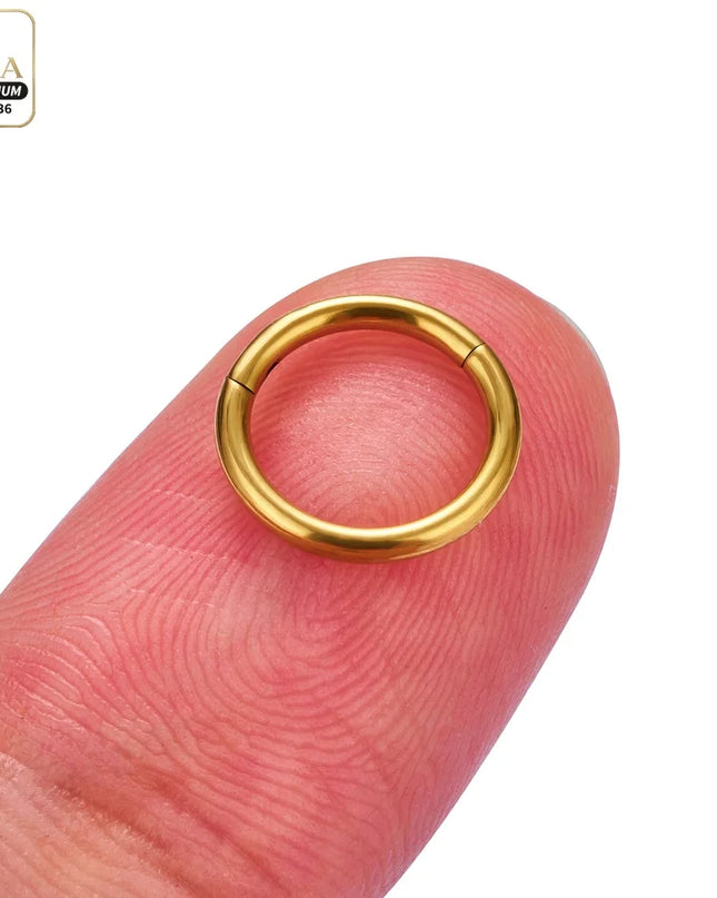 Nose Rings G23 Titanium Lip Ring For Women And Men Piercing Jewelry Hoop Earrings Mixed Color Body Clips Hinged