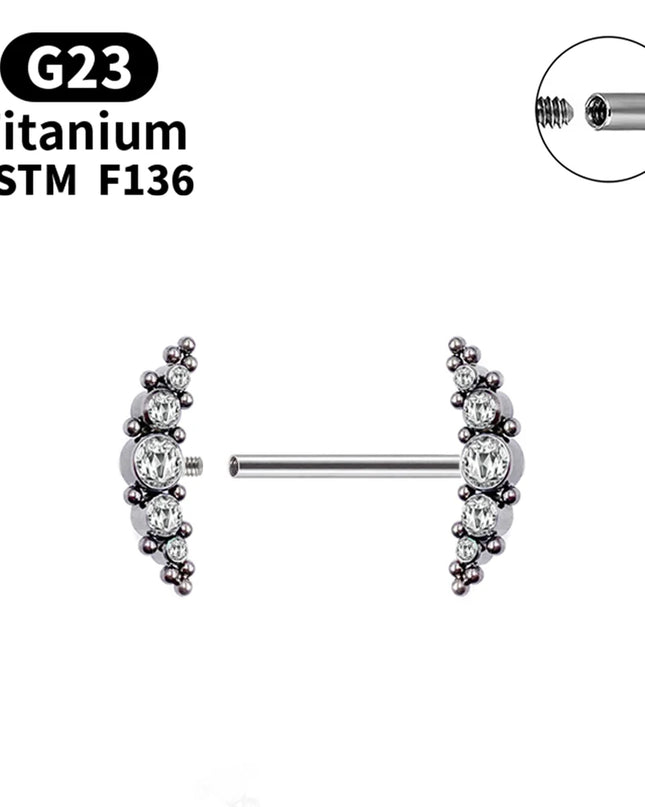 1 Pcs G23 Titanium Nipple Piercing 14g Spiral CZ Barbell Nipple Ring Adult Game Bondage Sexy Body Piercing Jewelry Lover Gift