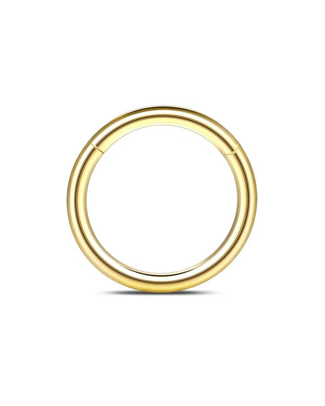 1/6/12PCS Nose Septum Rings 16G Surgical Steel Nose Piercing Jewelry 8mm 10mm 12mm Horseshoe Lip Earring Eyebrow Hoop Gold