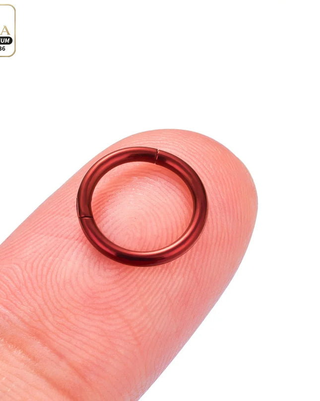 Nose Rings G23 Titanium Lip Ring For Women And Men Piercing Jewelry Hoop Earrings Mixed Color Body Clips Hinged