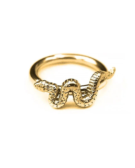 Nose Rings Hinged Segment Daith Hoop Rings Snake Bee Nose Ear Cartilage Ring Lip Septum Piercing Jewelry
