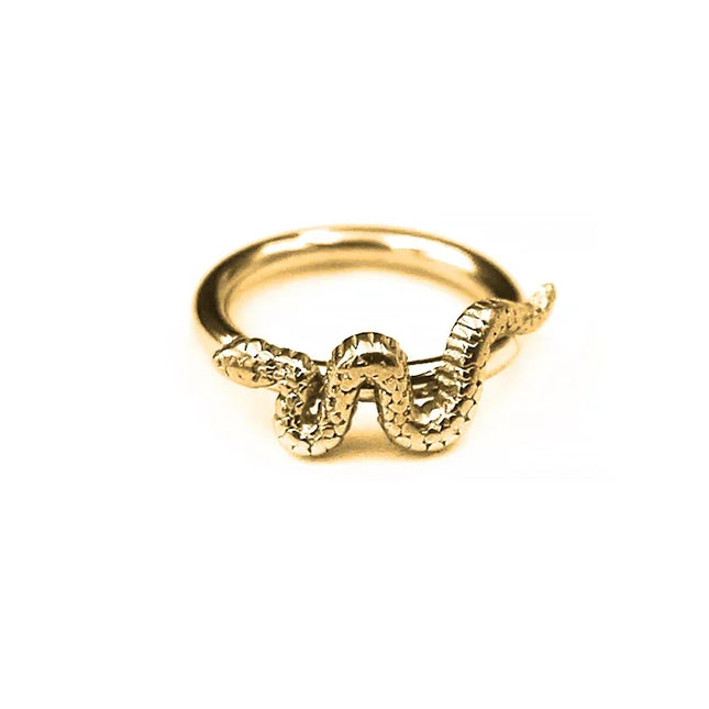 Nose Rings Hinged Segment Daith Hoop Rings Snake Bee Nose Ear Cartilage Ring Lip Septum Piercing Jewelry