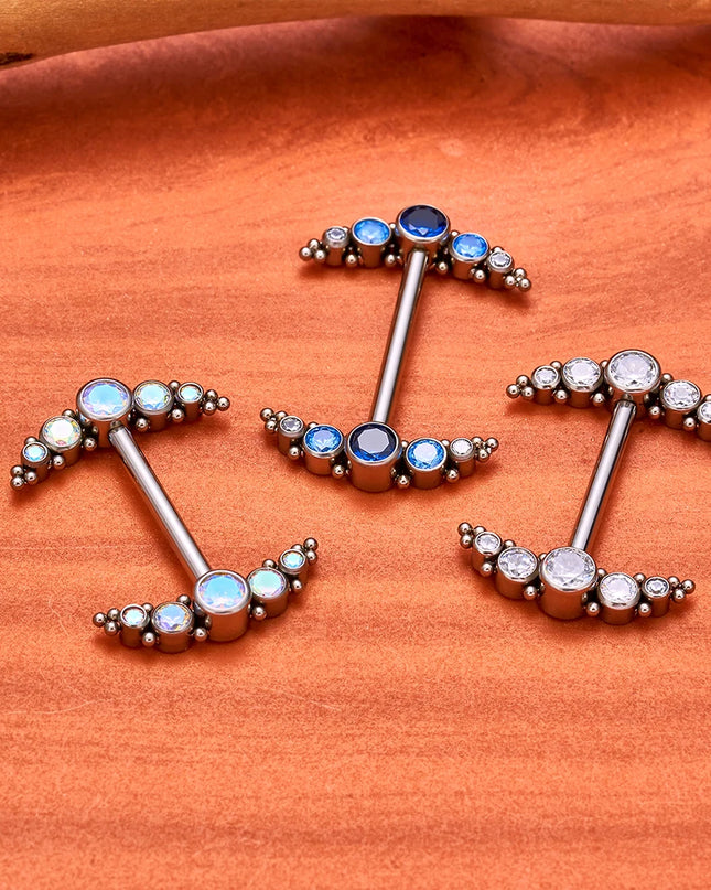 14G Nipple Rings G23 Titanium Barbell Zircon Nipple Shield Piercing for Women Girls Sexy Nipple Piercing Jewelry