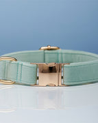 Cyan / XS