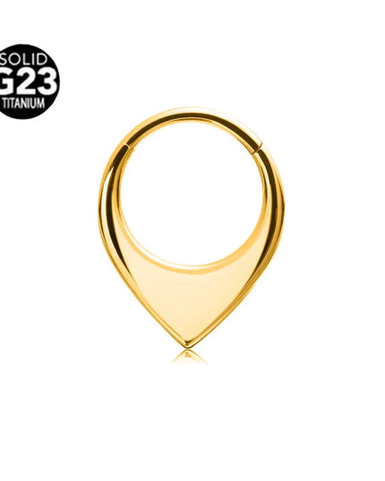 ASTM F136 G23 Titanium 16G Snake Bee Moon Flame Septum Piercing Heart Tusk Helix Hinged Daith Conch Earring Opal Hoop Nose Ring