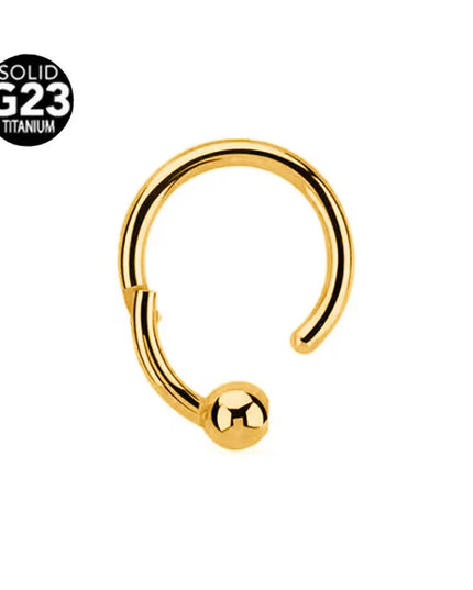 ASTM F136 G23 Titanium 16G Snake Bee Moon Flame Septum Piercing Heart Tusk Helix Hinged Daith Conch Earring Opal Hoop Nose Ring