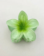 Gradient Green