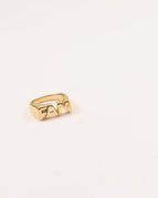 FAM Gold / No.6