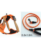 Orange set / S