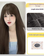 Bangs Cold Brown Hair Net