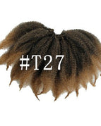 T27Color