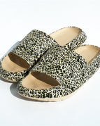 Leopard / 36to37