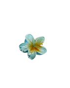 Green Plumeria Rubra 4CM One