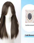 Middle Cold Brown Hair Net