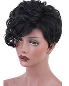 Wig009A