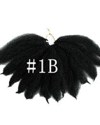 1Bcolor