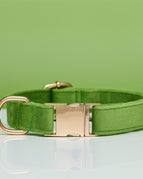 Green / XS