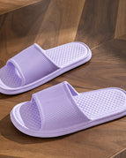 Purple / 36to37