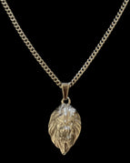 Silver / Lion necklace