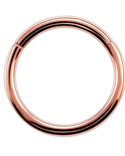 1PC G23 Titanium Hinged Segment Nose Ring 16G&14G Nipple Clicker Ear Cartilage Tragus Helix Lip Piercing Unisex Fashion Jewelry
