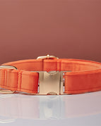 Orange / XS