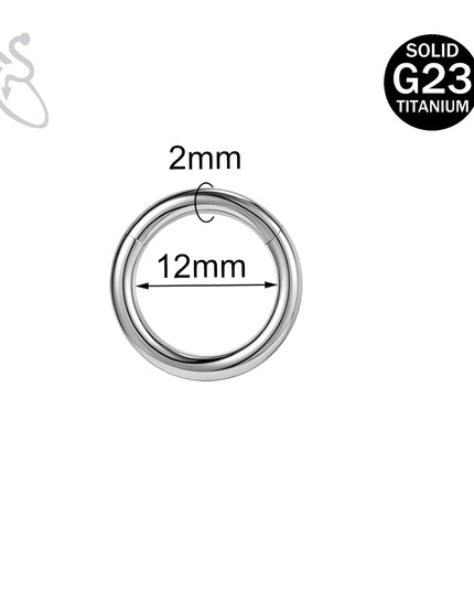 ZS 1PC G23 Titanium Hoop Earring for Women Silver Plated Circle Earring Large Gauge Seputm Nose Ring 2/4/6/8/10/12G Punk Earring