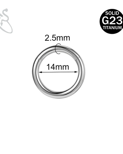 ZS 1PC G23 Titanium Hoop Earring for Women Silver Plated Circle Earring Large Gauge Seputm Nose Ring 2/4/6/8/10/12G Punk Earring