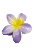 Purple Yellow