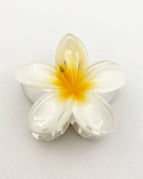 White And Yellow Core Color